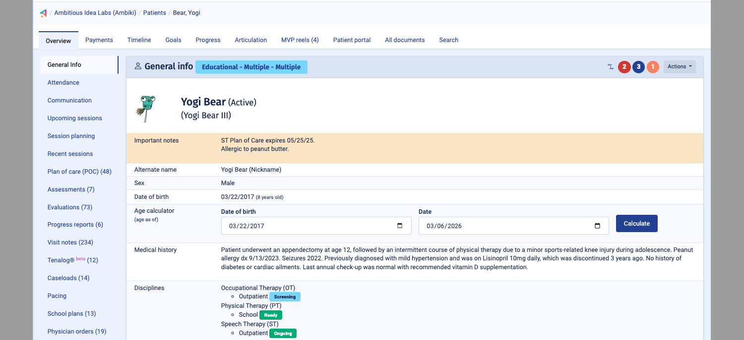 Ambiki's patient profile system