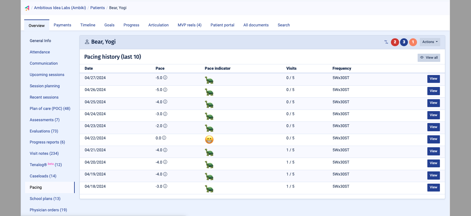 Ambiki's patient profile system