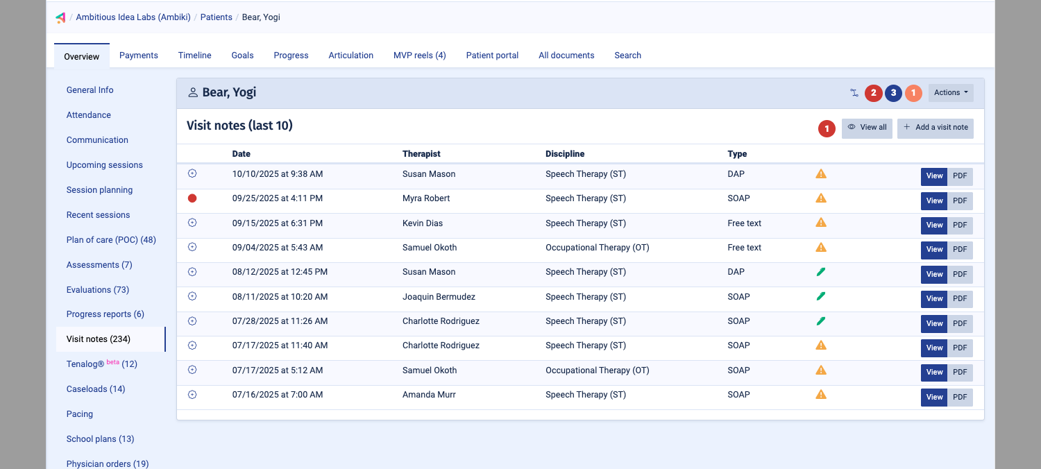 Ambiki's patient profile system