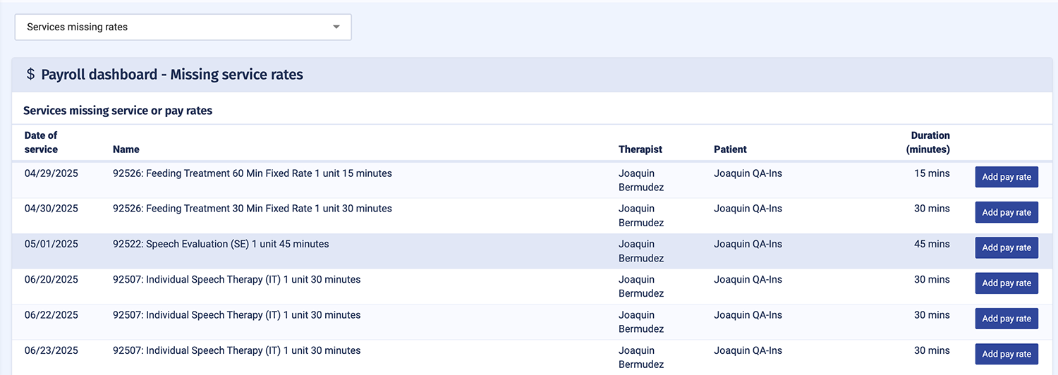 Ambiki's organization payroll system