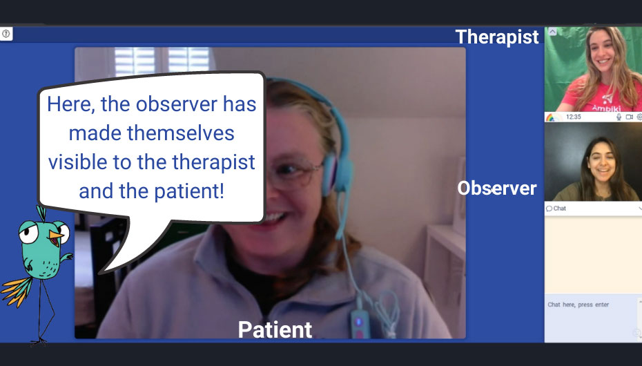 Ambiki Teletherapy - Observer mode